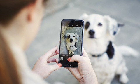 woman taking photo of dog