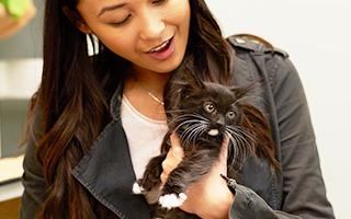 woman hold black kitten